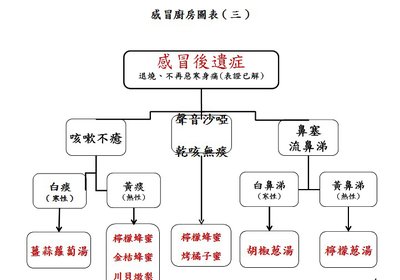 感冒廚房圖表03.jpg