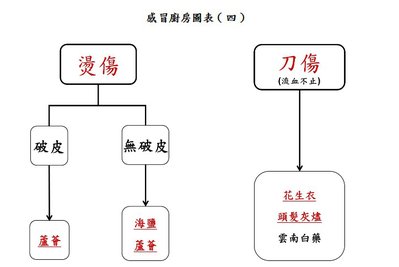 感冒廚房圖表04.jpg