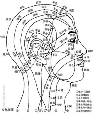 頭部穴道.jpg
