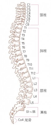 滾背04.jpg