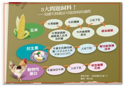 揭開美國牛飼養秘辛02.jpg